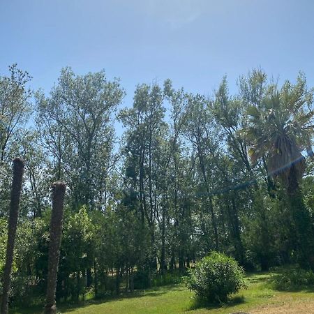 Chalet En Pleine Nature La Roquette-sur-Siagne エクステリア 写真