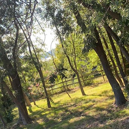 Chalet En Pleine Nature La Roquette-sur-Siagne エクステリア 写真