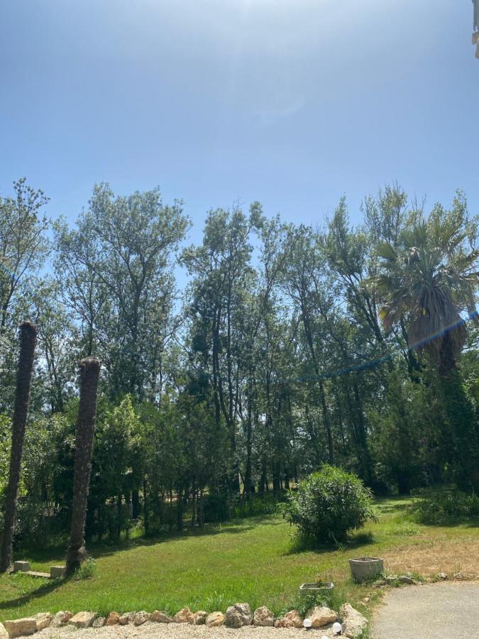 Chalet En Pleine Nature La Roquette-sur-Siagne エクステリア 写真
