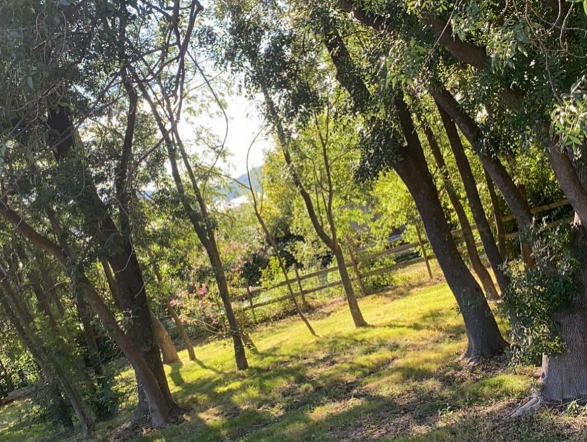 Chalet En Pleine Nature La Roquette-sur-Siagne エクステリア 写真
